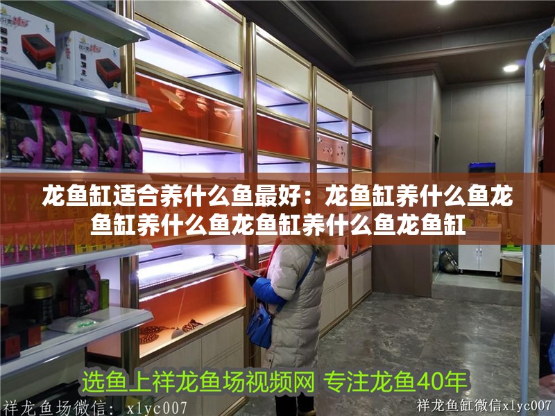 龍魚缸適合養(yǎng)什么魚最好：龍魚缸養(yǎng)什么魚龍魚缸養(yǎng)什么魚龍魚缸養(yǎng)什么魚龍魚缸