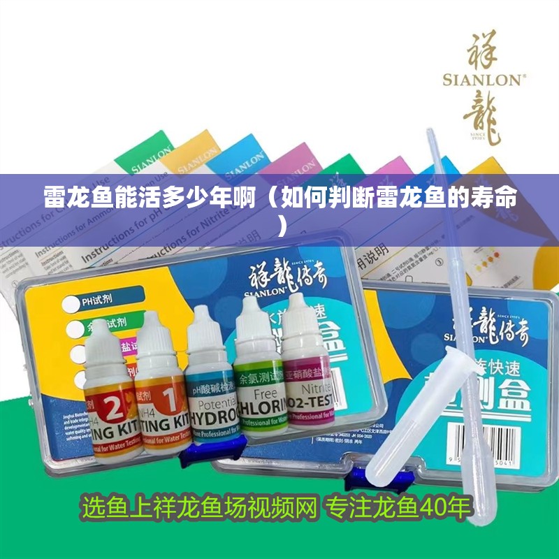 雷龍魚(yú)能活多少年?。ㄈ绾闻袛嗬堲~(yú)的壽命） 雷龍魚(yú)能活多少年?。ㄈ绾闻袛嗬堲~(yú)的壽命） 龍魚(yú)百科