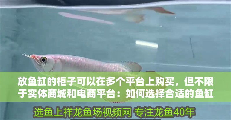 放魚缸的柜子可以在多個平臺上購買，但不限于實體商城和電商平臺：如何選擇合適的魚缸柜