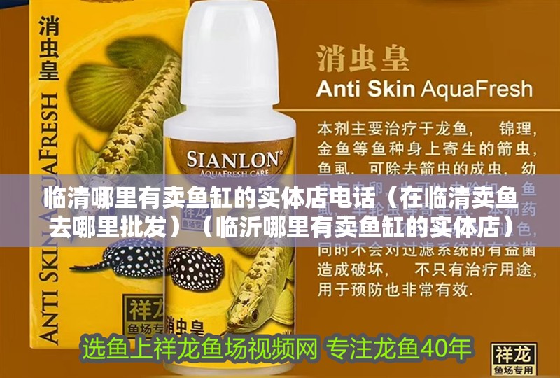 臨清哪里有賣魚缸的實體店電話（在臨清賣魚去哪里批發）（臨沂哪里有賣魚缸的實體店）