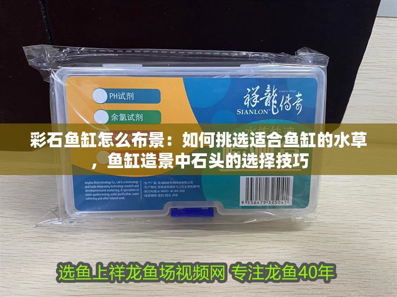 彩石魚(yú)缸怎么布景：如何挑選適合魚(yú)缸的水草，魚(yú)缸造景中石頭的選擇技巧