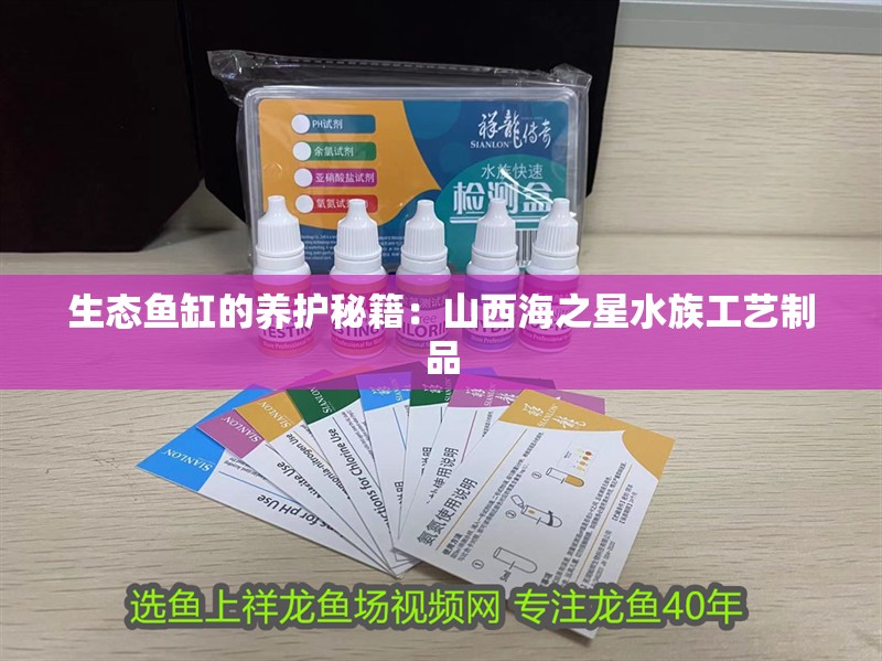 紅龍魚用黃燈烤有用嗎 生態(tài)魚缸的養(yǎng)護秘籍:山西海之星水族工藝制品 魚缸百科 生態(tài)魚缸的養(yǎng)護秘籍:山西海之星水族工藝制品 生態(tài)魚缸的養(yǎng)護秘籍:山西海之星水族工藝制品 魚缸百科