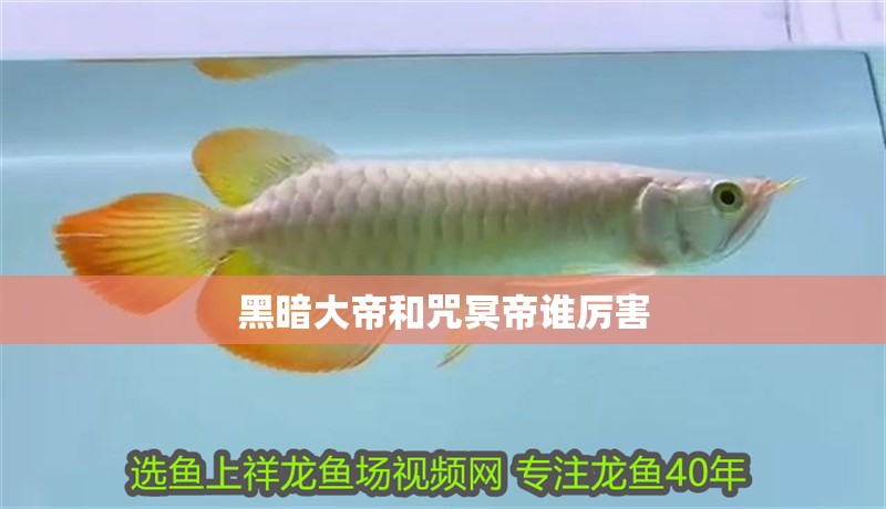 魚缸用增氧泵價(jià)格是多少:魚缸增氧機(jī)-xtrac增氧機(jī)-xtrac增氧機(jī) 黑暗大帝和咒冥帝誰厲害 龍魚論壇 黑暗大帝和咒冥帝誰厲害 黑暗大帝和咒冥帝誰厲害 龍魚論壇