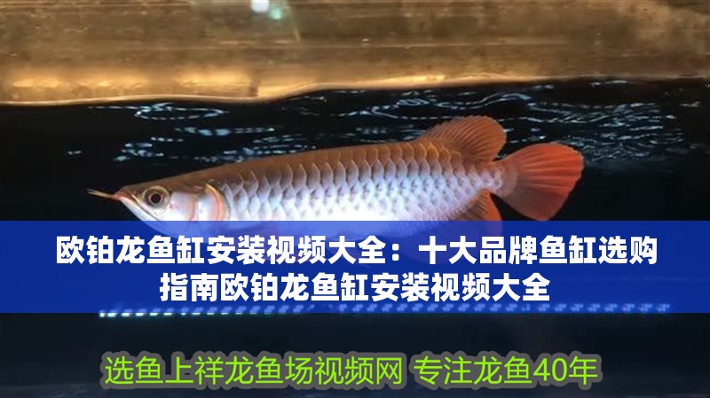 歐鉑龍魚缸安裝視頻大全：十大品牌魚缸選購指南歐鉑龍魚缸安裝視頻大全