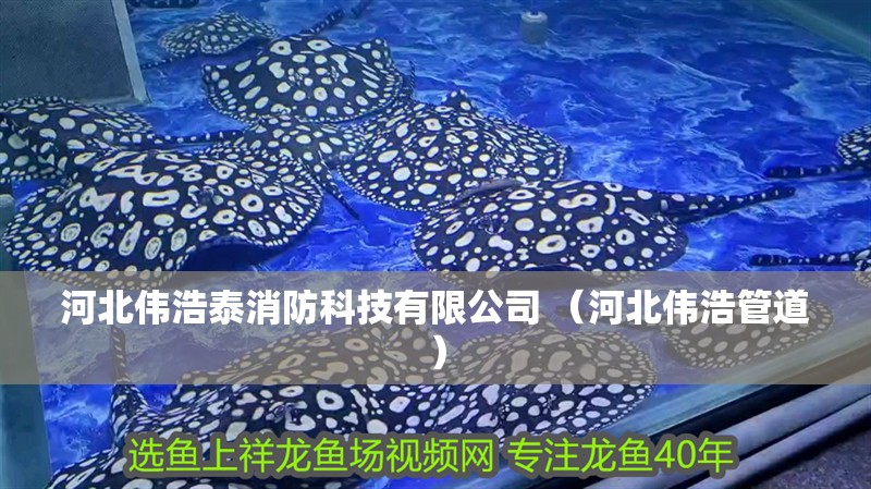 河北偉浩泰消防科技有限公司 （河北偉浩管道）