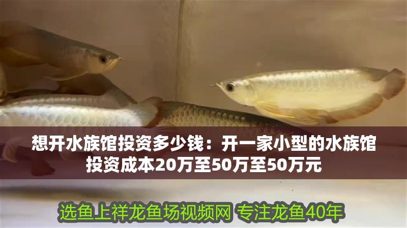 想開水族館投資多少錢:開一家小型的水族館投資成本20萬至50萬至50萬元 水族館百科(水族館加盟) 第1張 想開水族館投資多少錢:開一家小型的水族館投資成本20萬至50萬至50萬元 想開水族館投資多少錢:開一家小型的水族館投資成本20萬至50萬至50萬元 水族館百科(水族館加盟) 第1張