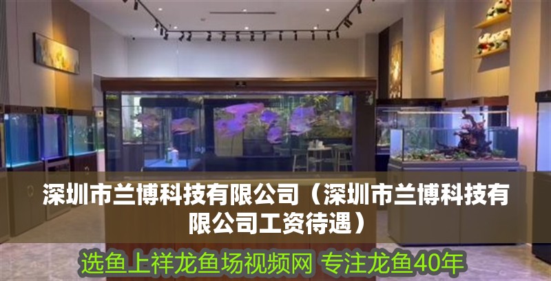 深圳市蘭博科技有限公司（深圳市蘭博科技有限公司工資待遇）