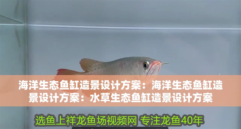 海洋生態(tài)魚缸造景設計方案：海洋生態(tài)魚缸造景設計方案：水草生態(tài)魚缸造景設計方案