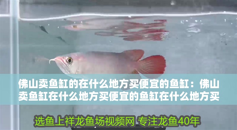 佛山賣魚缸的在什么地方買便宜的魚缸：佛山賣魚缸在什么地方買便宜的魚缸在什么地方買便宜