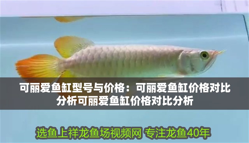 可麗愛魚缸型號與價格：可麗愛魚缸價格對比分析可麗愛魚缸價格對比分析 可麗愛魚缸型號與價格：可麗愛魚缸價格對比分析可麗愛魚缸價格對比分析 魚缸百科