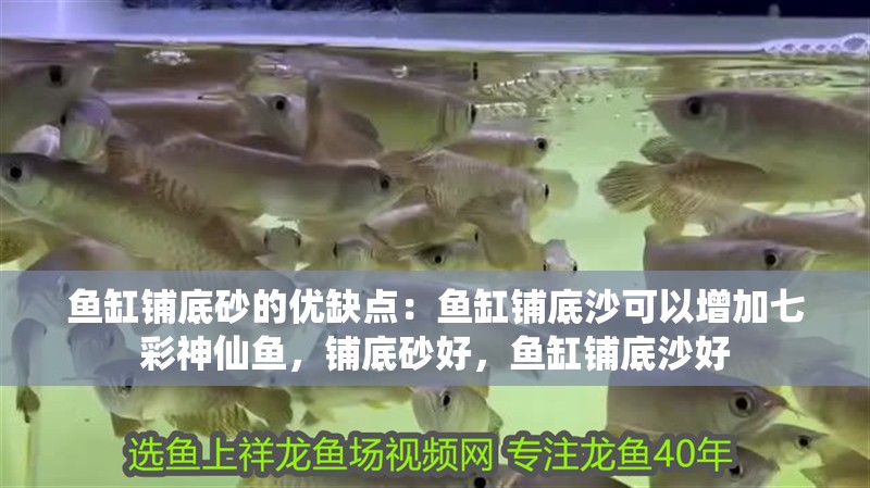 魚缸鋪底砂的優缺點：魚缸鋪底沙可以增加七彩神仙魚，鋪底砂好，魚缸鋪底沙好