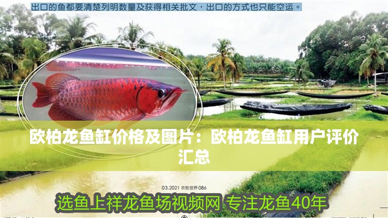 歐柏龍魚缸價(jià)格及圖片：歐柏龍魚缸用戶評(píng)價(jià)匯總