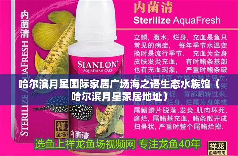 哈爾濱月星國際家居廣場海之語生態(tài)水族館（哈爾濱月星家居地址）