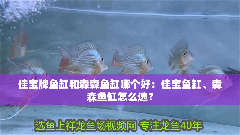 佳寶牌魚缸和森森魚缸哪個(gè)好：佳寶魚缸、森森魚缸怎么選？