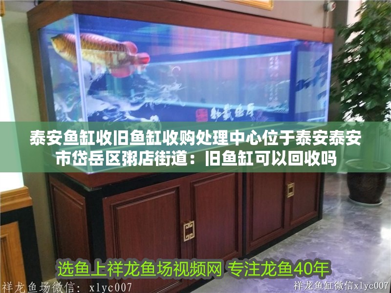 泰安魚缸收舊魚缸收購處理中心位于泰安泰安市岱岳區粥店街道：舊魚缸可以回收嗎 泰安魚缸收舊魚缸收購處理中心位于泰安泰安市岱岳區粥店街道：舊魚缸可以回收嗎 魚缸百科
