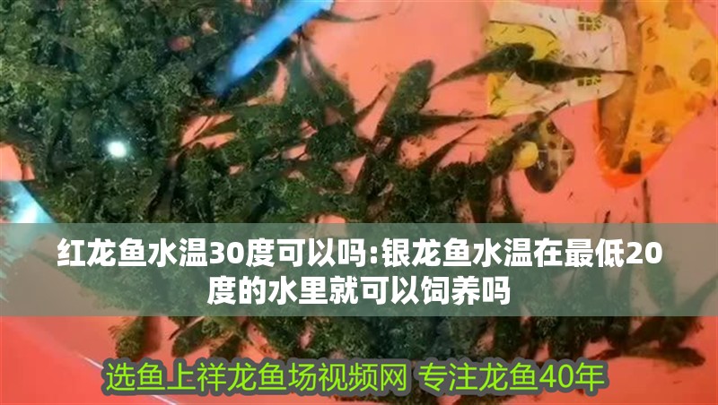 魚缸過濾器選購指南:自制魚缸過濾器魚缸上置過濾器對于養(yǎng)魚愛好者的必備知識 紅龍魚水溫30度可以嗎:銀龍魚水溫在最低20度的水里就可以飼養(yǎng)嗎 銀龍魚百科 紅龍魚水溫30度可以嗎:銀龍魚水溫在最低20度的水里就可以飼養(yǎng)嗎 紅龍魚水溫30度可以嗎:銀龍魚水溫在最低20度的水里就可以飼養(yǎng)嗎 銀龍魚百科