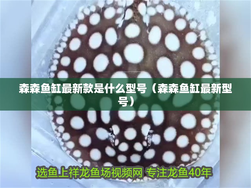 森森魚缸最新款是什么型號（森森魚缸最新型號）