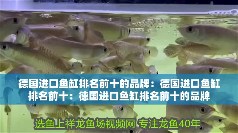 德國進口魚缸排名前十的品牌：德國進口魚缸排名前十：德國進口魚缸排名前十的品牌