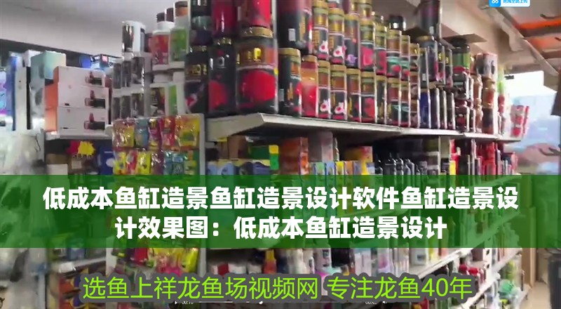 低成本魚缸造景魚缸造景設(shè)計軟件魚缸造景設(shè)計效果圖：低成本魚缸造景設(shè)計