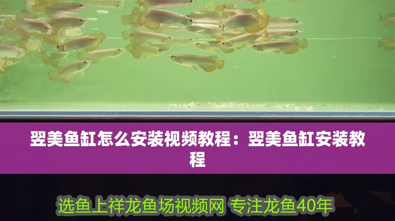 翌美魚缸怎么安裝視頻教程：翌美魚缸安裝教程