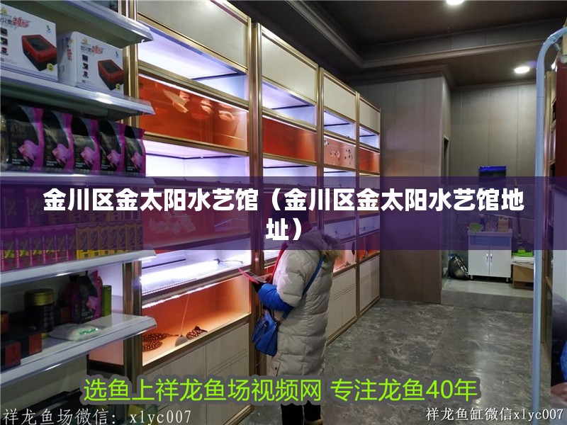 <strong><mark>金川</mark></strong>區金太陽水藝館（<strong><mark>金川</mark></strong>區金太陽水藝館地址）