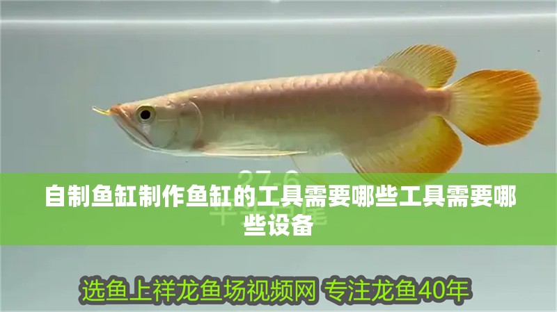 給大魚缸換水的作文:體驗給大魚缸換水的樂趣:體驗給大魚缸換水:給大魚缸換水的作文 自制魚缸制作魚缸的工具需要哪些工具需要哪些設(shè)備 銀龍魚百科 自制魚缸制作魚缸的工具需要哪些工具需要哪些設(shè)備 自制魚缸制作魚缸的工具需要哪些工具需要哪些設(shè)備 銀龍魚百科
