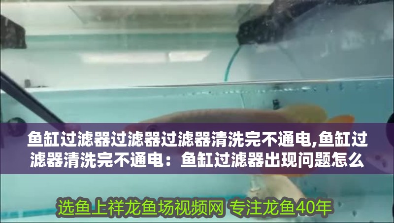 魚缸過濾器過濾器過濾器清洗完不通電,魚缸過濾器清洗完不通電：魚缸過濾器出現問題怎么辦