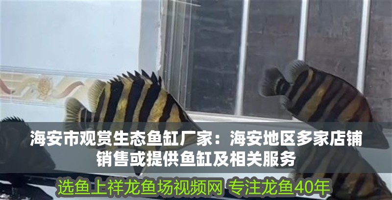 海安市觀賞生態魚缸廠家：海安地區多家店鋪銷售或提供魚缸及相關服務