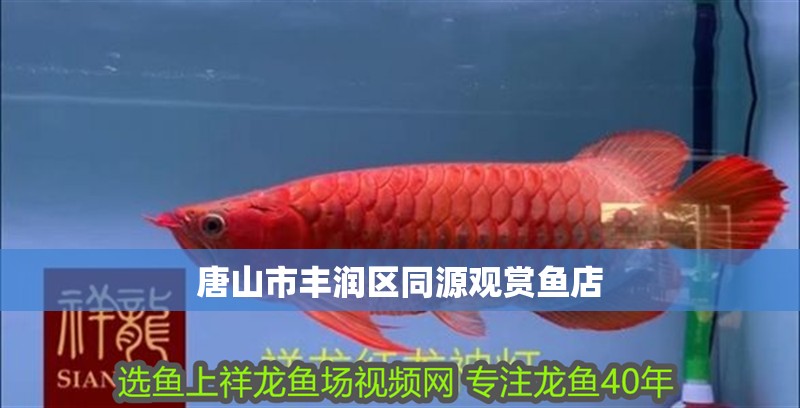 唐山市豐潤(rùn)區(qū)同源觀賞魚店