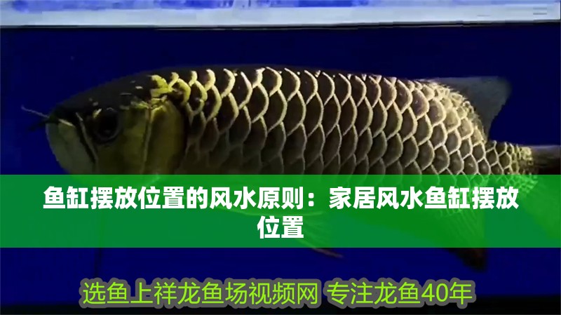 魚缸擺放位置的風水原則：家居風水魚缸擺放位置