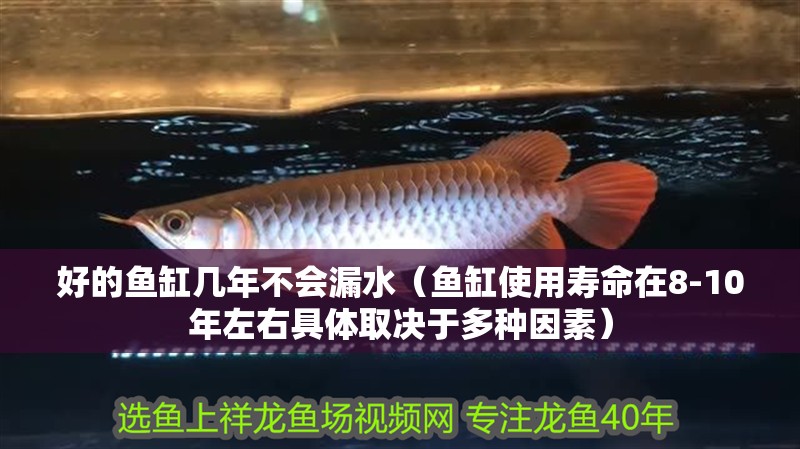好的魚缸幾年不會漏水（魚缸使用壽命在8-10年左右具體取決于多種因素）