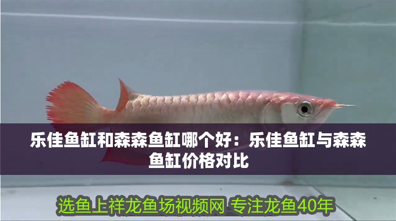 樂佳魚缸和森森魚缸哪個好：樂佳魚缸與森森魚缸價格對比