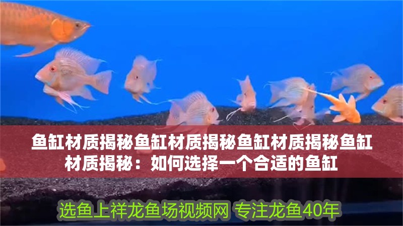 魚缸材質揭秘魚缸材質揭秘魚缸材質揭秘魚缸材質揭秘：如何選擇一個合適的魚缸