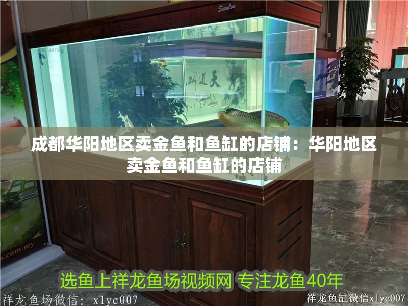 成都華陽地區賣金魚和魚缸的店鋪：華陽地區賣金魚和魚缸的店鋪