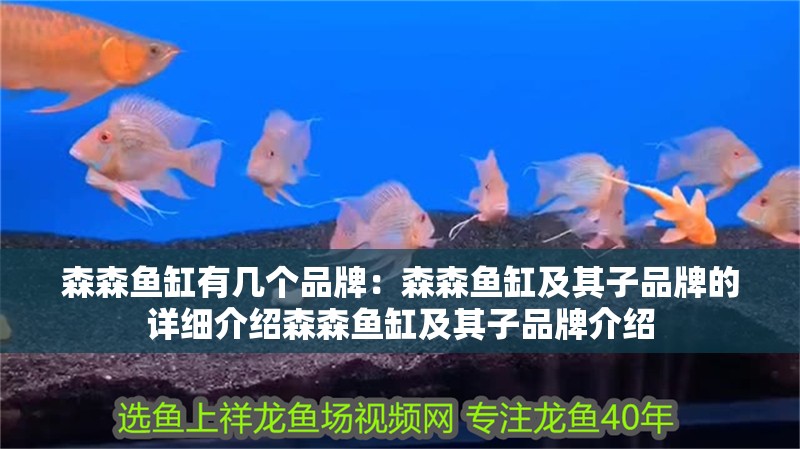 森森魚缸有幾個品牌：森森魚缸及其子品牌的詳細介紹森森魚缸及其子品牌介紹