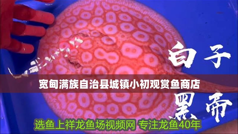 寬甸滿族自治縣城鎮小初觀賞魚商店