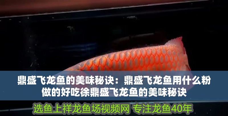 鼎盛飛龍魚的美味秘訣：鼎盛飛龍魚用什么粉做的好吃徐鼎盛飛龍魚的美味秘訣