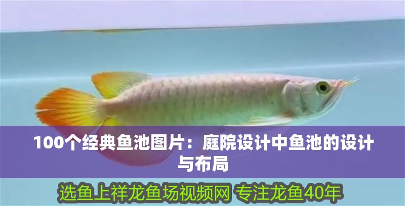 100個(gè)經(jīng)典魚池圖片：庭院設(shè)計(jì)中魚池的設(shè)計(jì)與布局