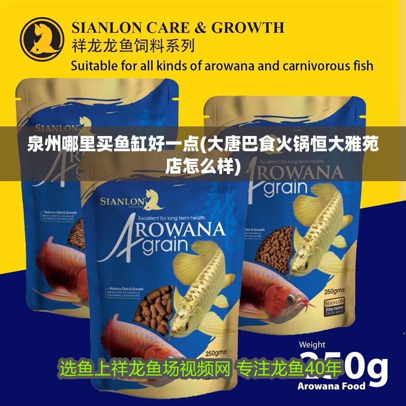 我的虎魚真菌感染了要怎么處理 泉州哪里買魚缸好一點(大唐巴食火鍋恒大雅苑店怎么樣) 銀龍魚百科 泉州哪里買魚缸好一點(大唐巴食火鍋恒大雅苑店怎么樣) 泉州哪里買魚缸好一點(大唐巴食火鍋恒大雅苑店怎么樣) 銀龍魚百科