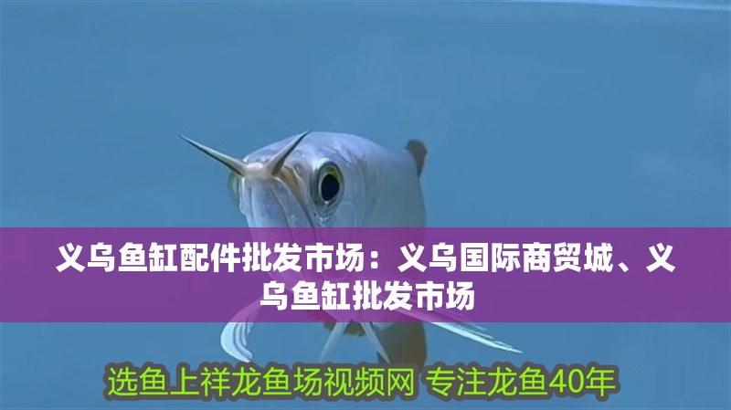 義烏魚缸配件批發市場：義烏國際商貿城、義烏魚缸批發市場
