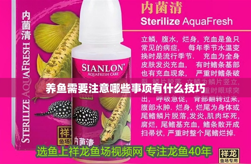 魚缸用增氧泵價格是多少:魚缸增氧機-xtrac增氧機-xtrac增氧機 養魚需要注意哪些事項有什么技巧 銀龍魚百科 養魚需要注意哪些事項有什么技巧 養魚需要注意哪些事項有什么技巧 銀龍魚百科