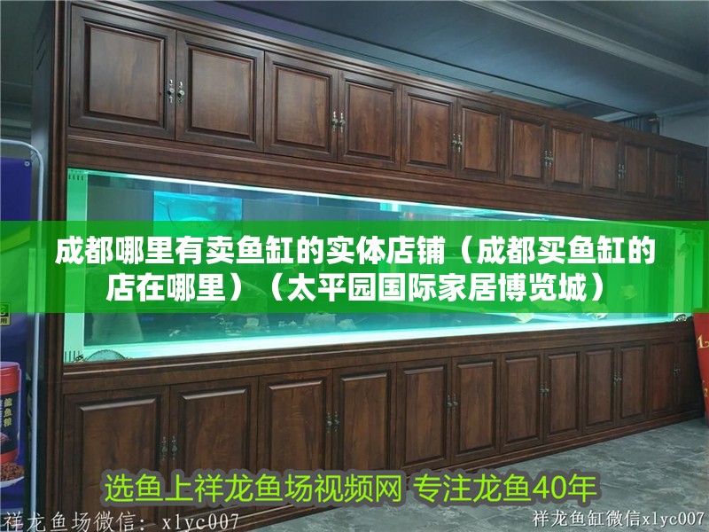 成都哪里有賣魚缸的實體店鋪（成都買魚缸的店在哪里）（太平園國際家居博覽城）