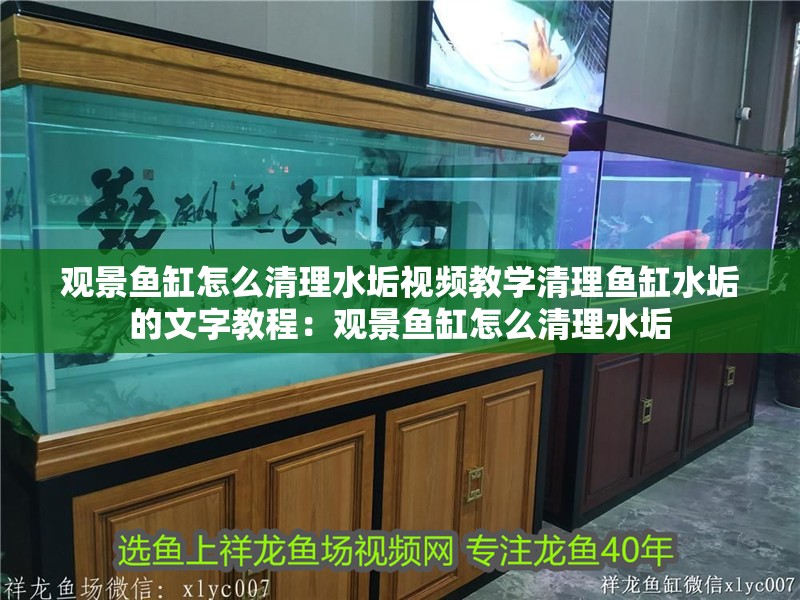觀景魚缸怎么清理水垢視頻教學清理魚缸水垢的文字教程：觀景魚缸怎么清理水垢 觀景魚缸怎么清理水垢視頻教學清理魚缸水垢的文字教程：觀景魚缸怎么清理水垢 魚缸百科