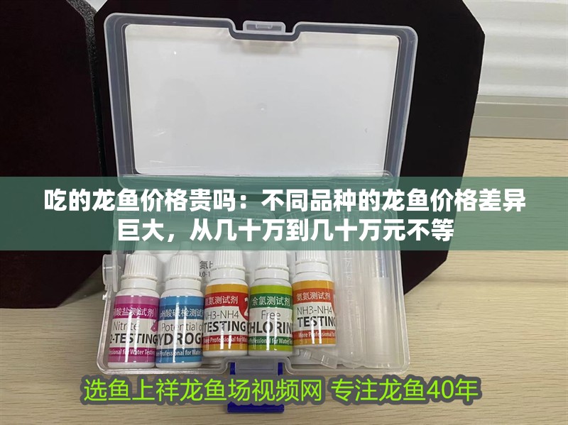 龍魚干蝦有營養(yǎng)嗎 吃的龍魚價格貴嗎:不同品種的龍魚價格差異巨大,從幾十萬到幾十萬元不等 龍魚百科 吃的龍魚價格貴嗎:不同品種的龍魚價格差異巨大,從幾十萬到幾十萬元不等 吃的龍魚價格貴嗎:不同品種的龍魚價格差異巨大,從幾十萬到幾十萬元不等 龍魚百科