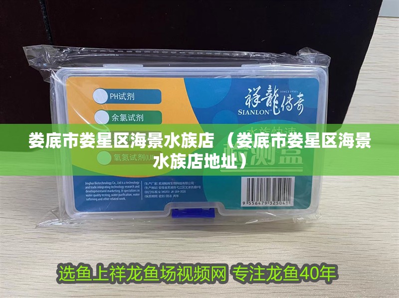 婁底市婁星區(qū)海景水族店 （婁底市婁星區(qū)海景水族店地址）