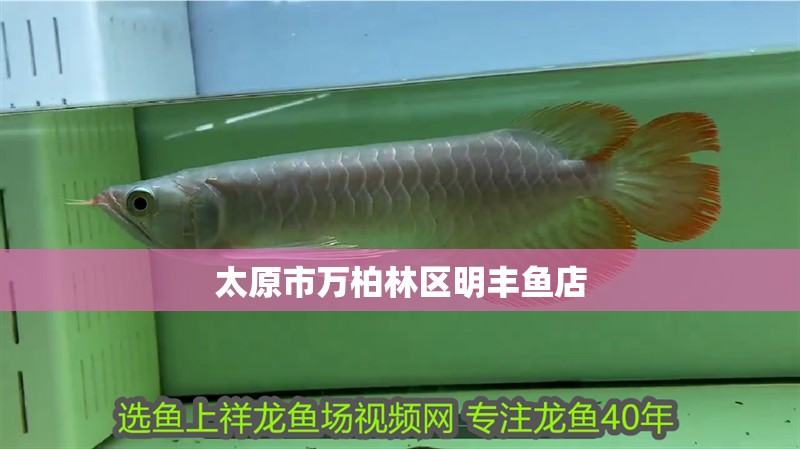 魚缸用增氧泵價格是多少:魚缸增氧機-xtrac增氧機-xtrac增氧機 太原市萬柏林區明豐魚店 全國水族館企業名錄 太原市萬柏林區明豐魚店 太原市萬柏林區明豐魚店 全國水族館企業名錄