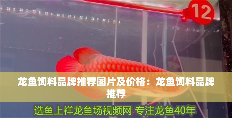 龍魚飼料品牌推薦圖片及價格：龍魚飼料品牌推薦