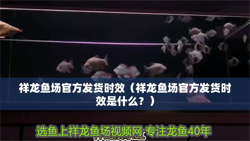 祥龍魚場官方發(fā)貨時效（祥龍魚場官方發(fā)貨時效是什么？）