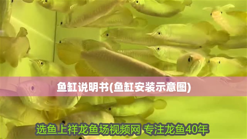 魚缸說明書(魚缸安裝示意圖)