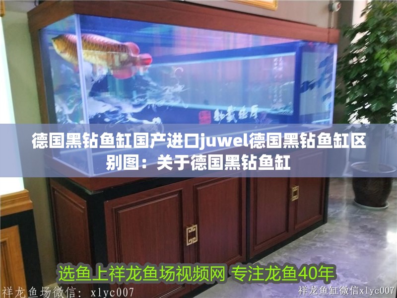 德國黑鉆魚缸國產(chǎn)進口juwel德國黑鉆魚缸區(qū)別圖：關(guān)于德國黑鉆魚缸